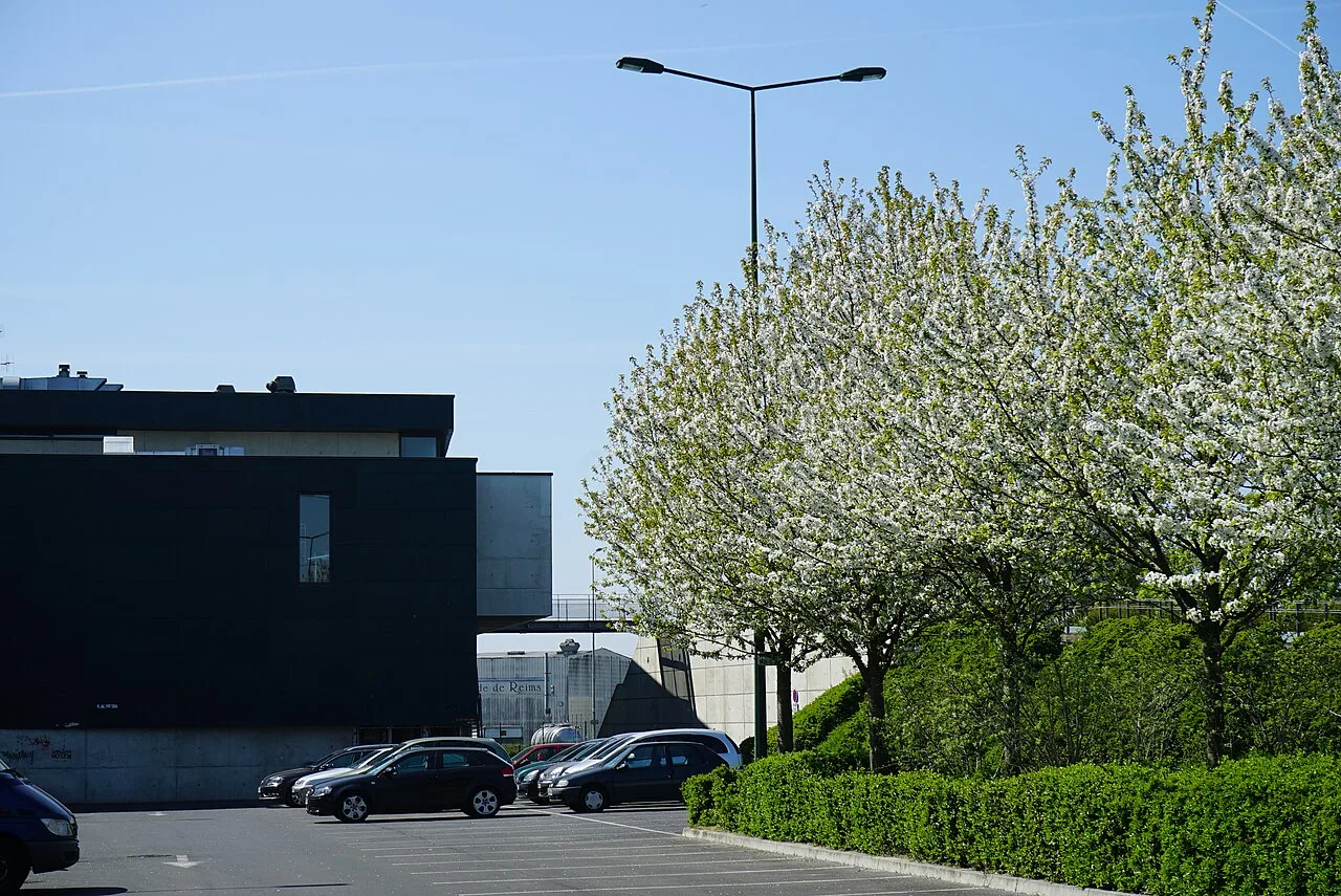 Le bâtiment de La Cartonnerie, rue du Docteur-Lemoine à Reims.